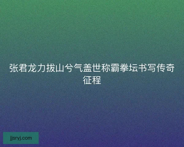 张君龙力拔山兮气盖世称霸拳坛书写传奇征程